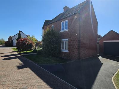 Picture 29